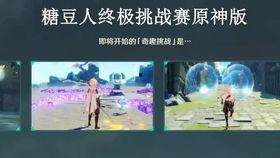 风花节最新爆料视频播放,最新爆料视频带你领略节日魅力